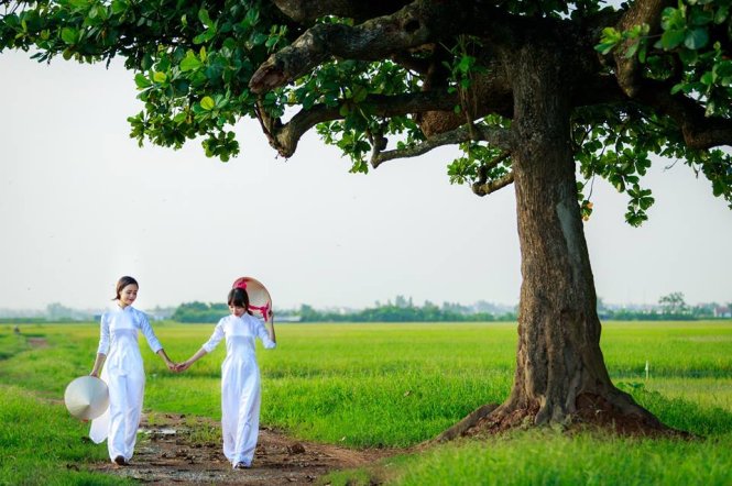Hà[-]Tây[-]bình[-]dị[-]và[-]thơ[-]mộng[-]dưới[-]ống[-]kính[-]nhiếp[-]ảnh[-]gia[-]Nguyễn[-]Đình[-]Thành